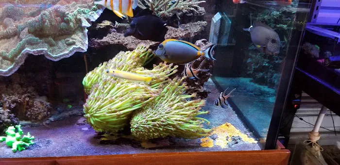 Aquatic Art Inc. Picture 3