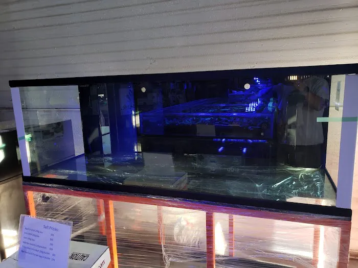 Aquatic Art Inc. Picture 10
