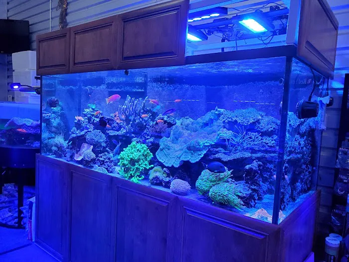 Aquatic Art Inc. Picture 1