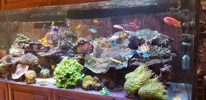 Aquatic Art Inc. Picture 6