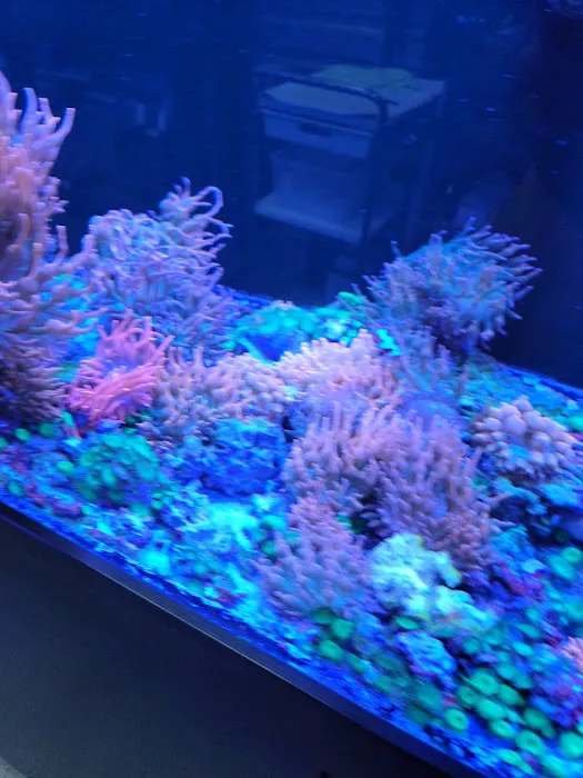 Aquatic Art Inc. Picture 2
