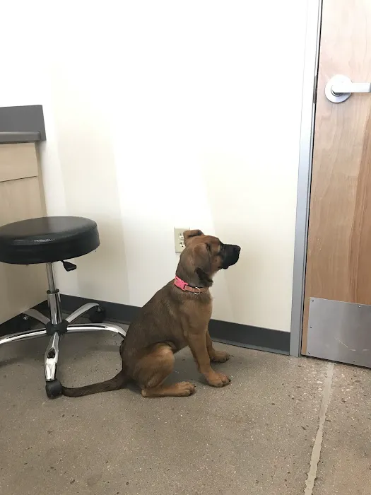 Petco Picture 3