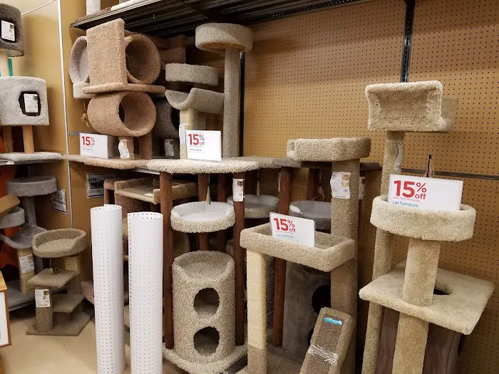 Petco Picture 5
