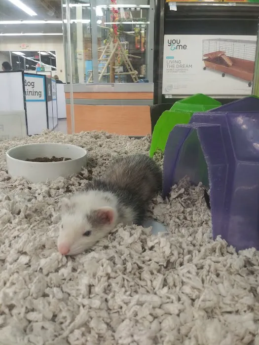 Petco Picture 6