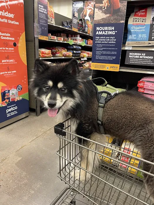 Petco Picture 10