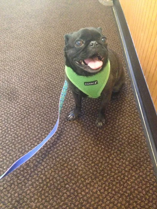 Watkins Glen Veterinary Hospital Picture 2