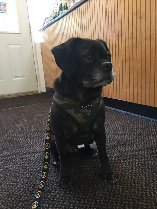 Watkins Glen Veterinary Hospital Picture 5