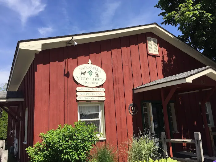 Watkins Glen Veterinary Hospital Picture 8