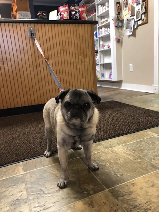 Watkins Glen Veterinary Hospital Picture 1