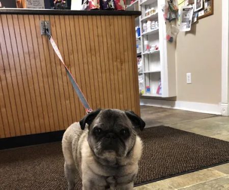 Watkins Glen Veterinary Hospital
