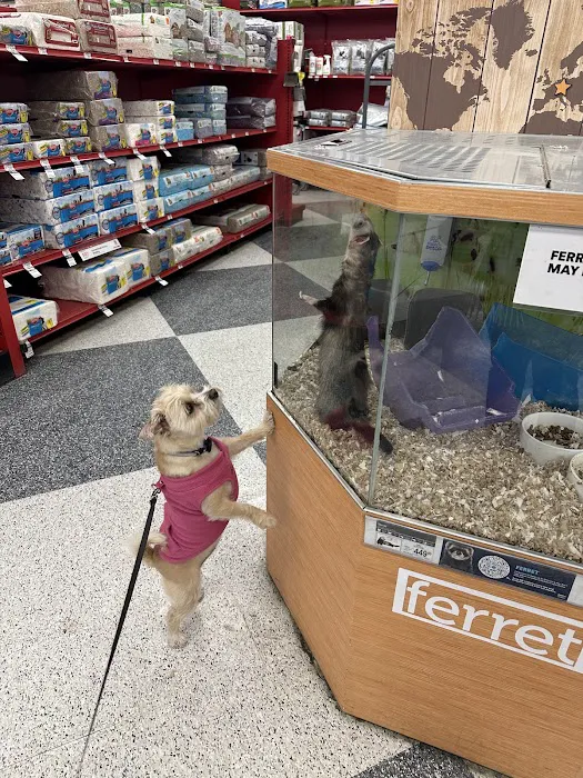Petco Picture 10