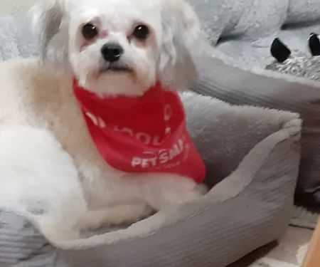 Petco