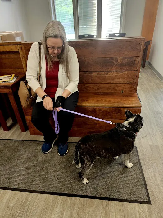 All Ears Veterinary Clinic PLLC Horseheads Picture 4