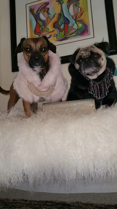 Chuck & Don's Pet Food & Supplies Picture 1