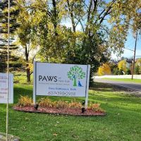 P.A.W.S of NY ico
