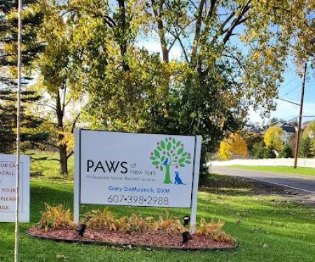 P.A.W.S of NY