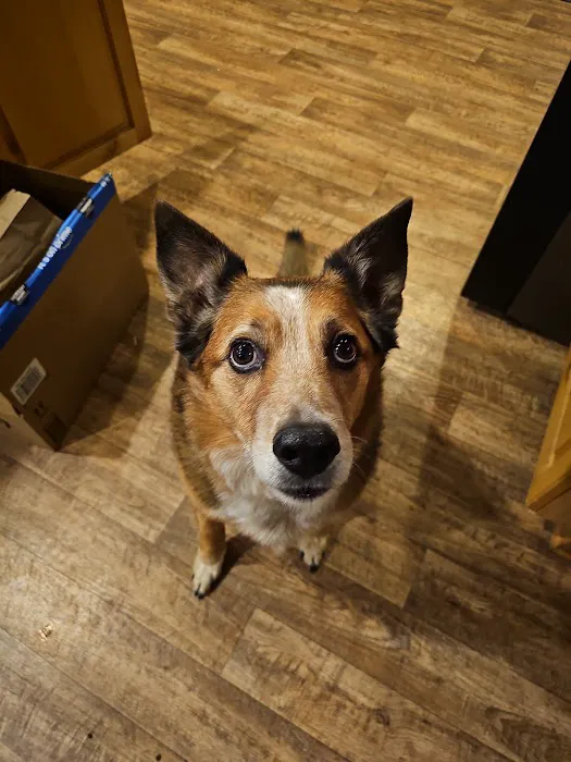 Chuck & Don's Pet Food & Supplies Picture 7
