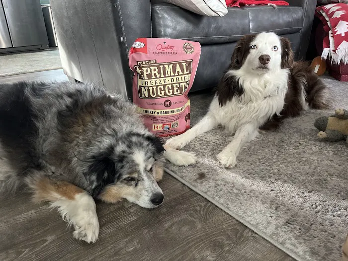Chuck & Don's Pet Food & Supplies Picture 6
