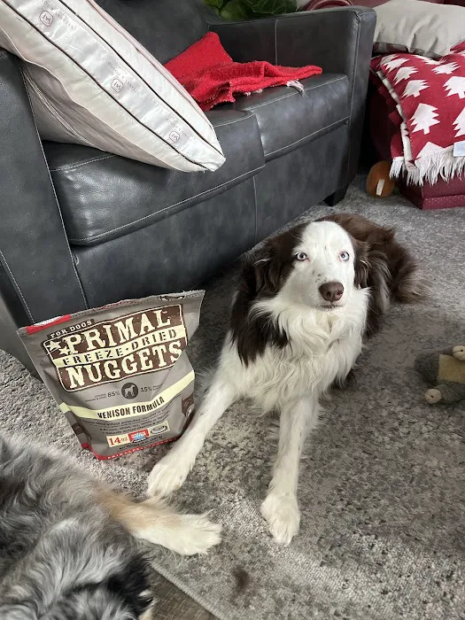 Chuck & Don's Pet Food & Supplies Picture 4