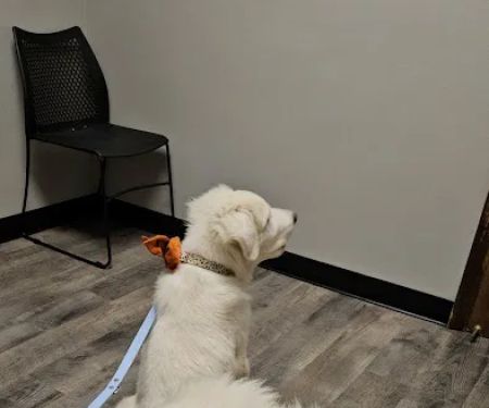 Agape Veterinary Clinic