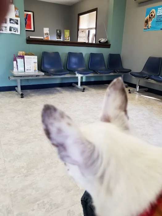 Agape Veterinary Clinic Picture 7