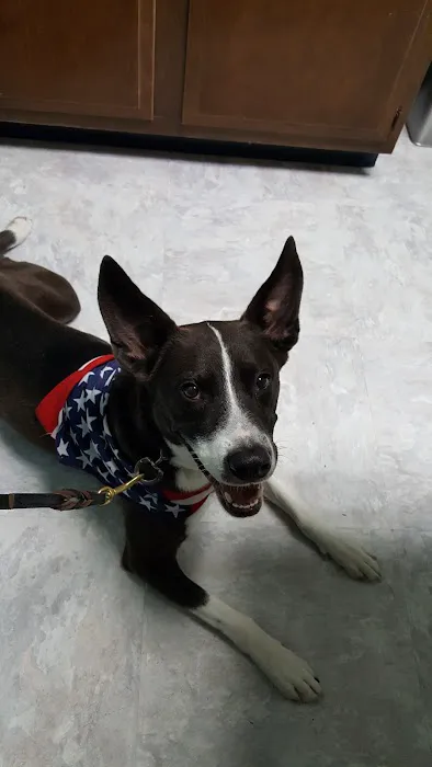 Agape Veterinary Clinic Picture 10