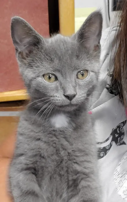 Agape Veterinary Clinic Picture 2