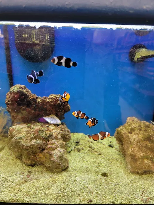 Petco Picture 2