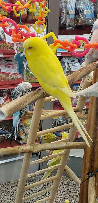 Petco Picture 6