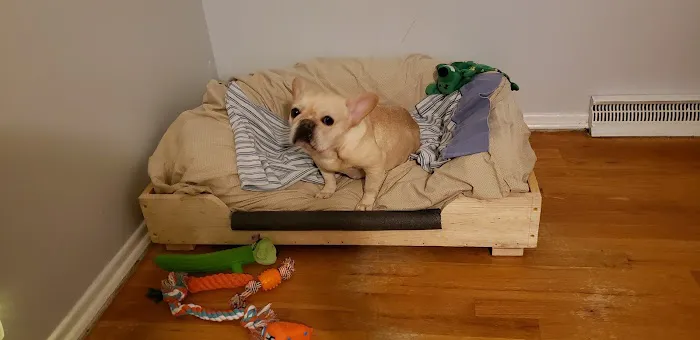 Petco Picture 3