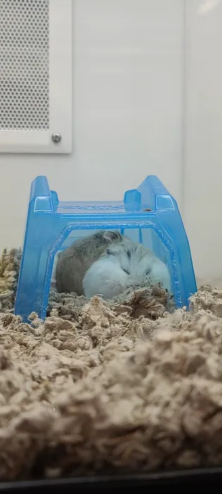 Petco Picture 8