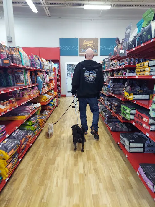 Petco Picture 2