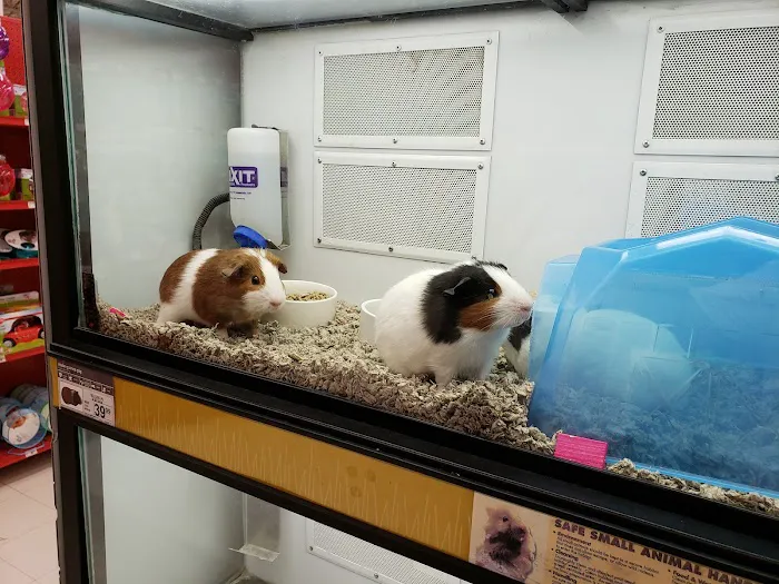 Petco Picture 4