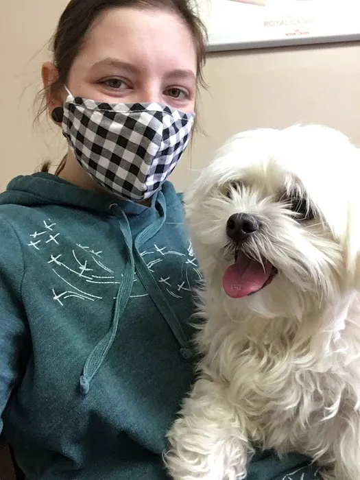 Lake Road Animal Hospital Picture 4