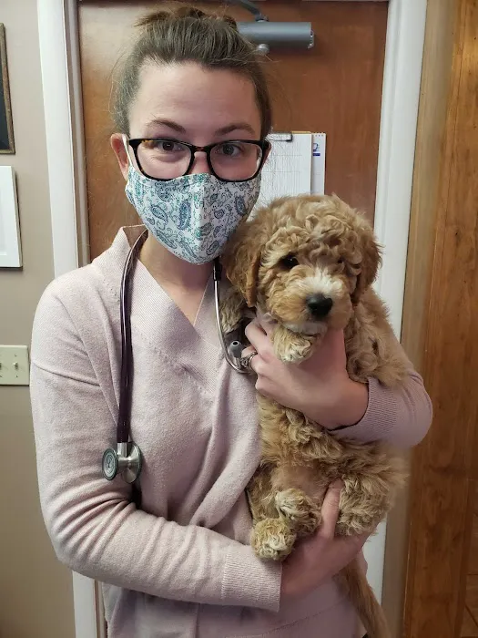 Lake Road Animal Hospital Picture 6
