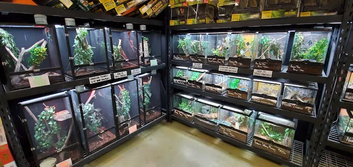 5280 Reptile Room - North Picture 7