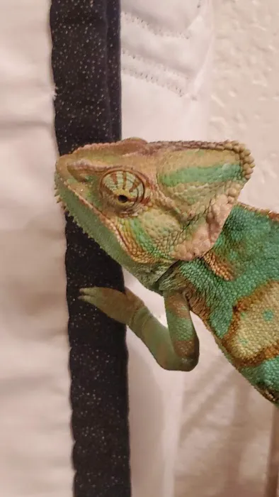 5280 Reptile Room - North Picture 6