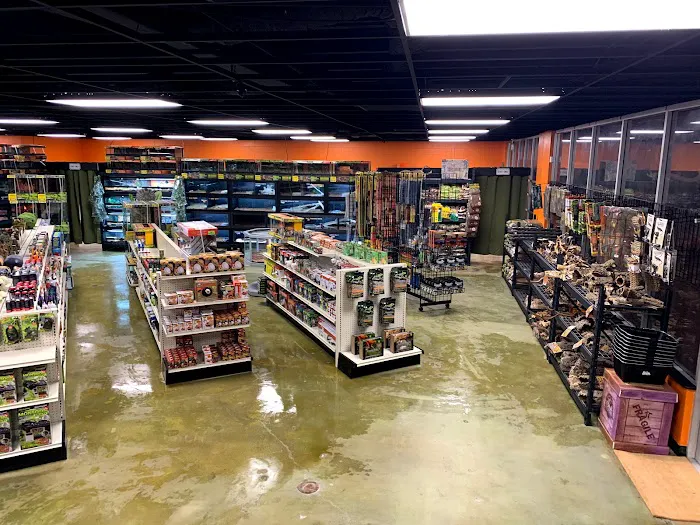 5280 Reptile Room - North Picture 3