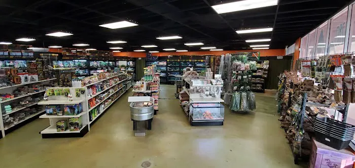 5280 Reptile Room - North Picture 4