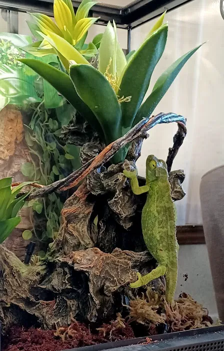 5280 Reptile Room - North Picture 8