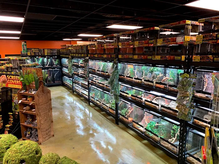5280 Reptile Room - North Picture 10
