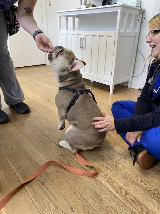 Home Veterinary Care Picture 7