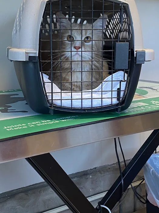 Home Veterinary Care Picture 9