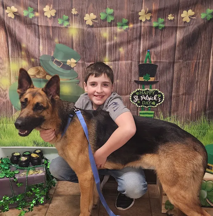 VCA Chemung Valley Animal Hospital Picture 10