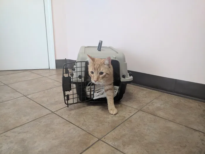 VCA Chemung Valley Animal Hospital Picture 8