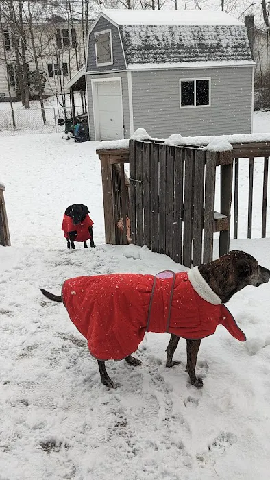 VCA Chemung Valley Animal Hospital Picture 3