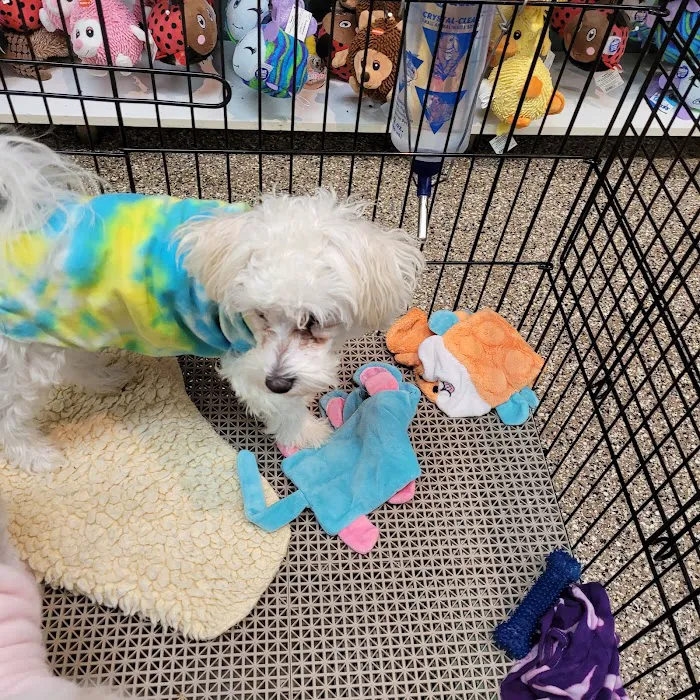 Pet Ranch Picture 9