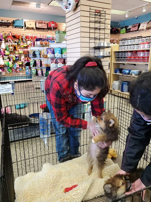 Pet Ranch Picture 8