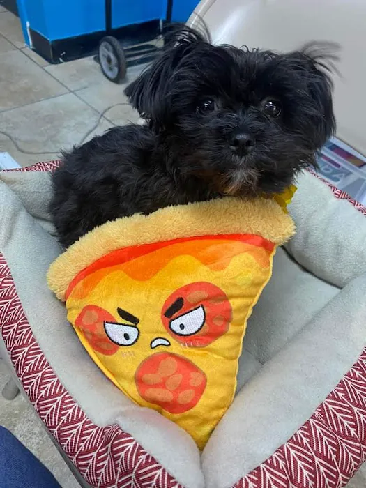 Pet Ranch Picture 4