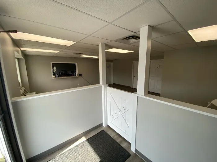 TLC Veterinary Clinic Picture 6